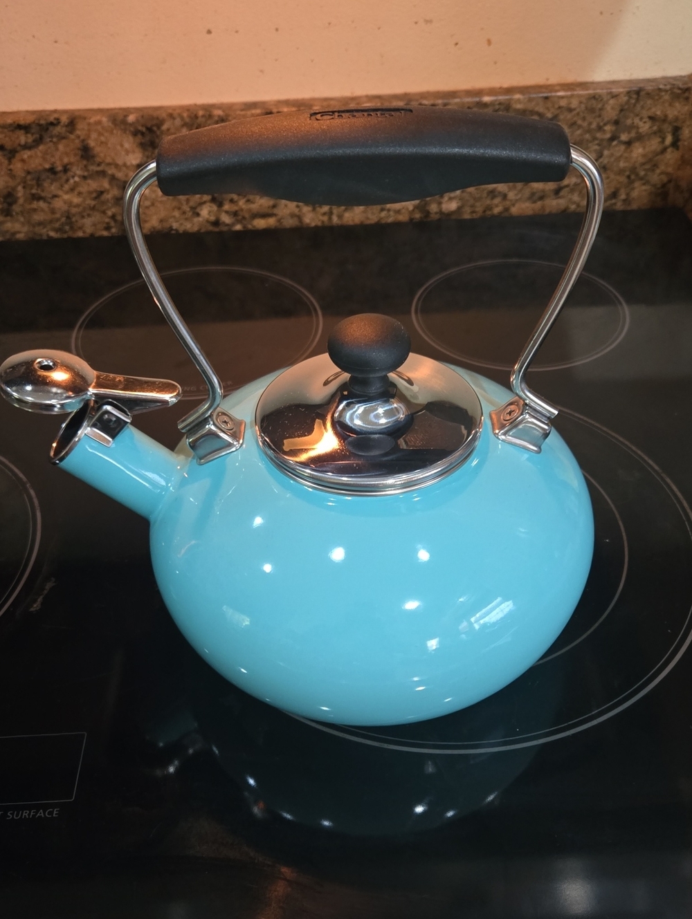 Turquoise Blue Whistling Tea Kettle with Ergonomic Handle